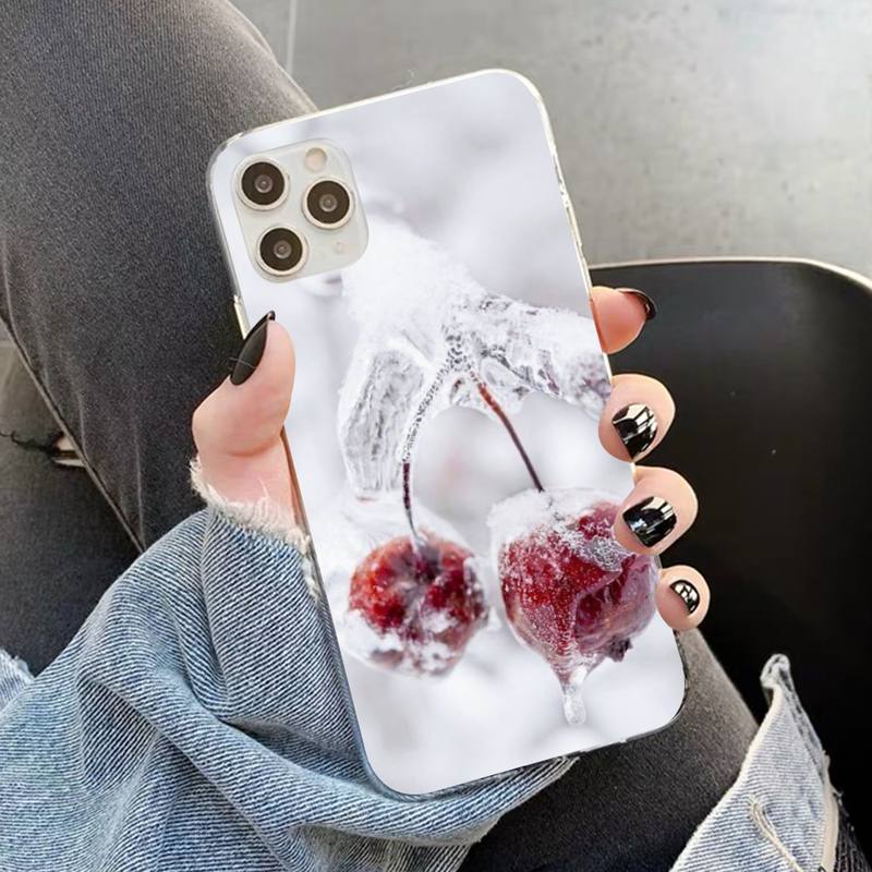 

Зимний чехол для телефона New York Central для iPhone 14 13 12 11 Pro Max XS XR X 8 7 Plus SE 11 12 Mini, чехлы для мобильных телефонов iPhone 11