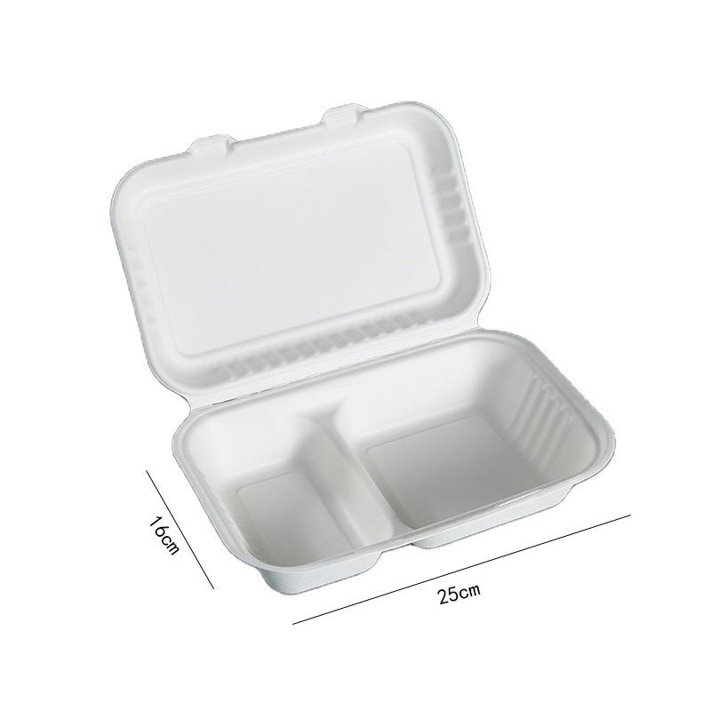 Biodegradable Eco-friendly Disposable Paper Lunch Box with Double Compartment, 9x6 Inch