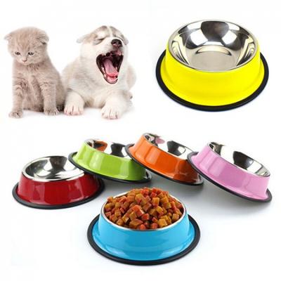 Perros – Proveedores de agua y alimento