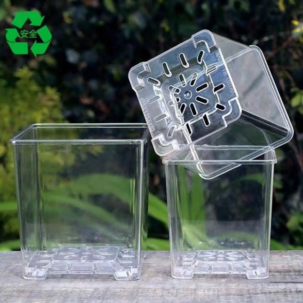 Clear Breathable Plant Container Desktop Ornament Planter Plant Pot Crafts Decors Planter Landscape Crafts