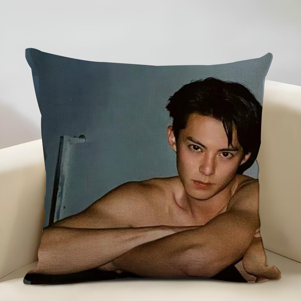 Dylan Wang Chinese Actor Cushion Household Decoration Linen Sofa Cushion Cover: Skin-Friendly & Breathable with Invisible Zipper