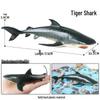Children's Marine Life Simulation: Shark & Whale Models - Great White, Zebra, Tiger Shark Toys & Ornaments