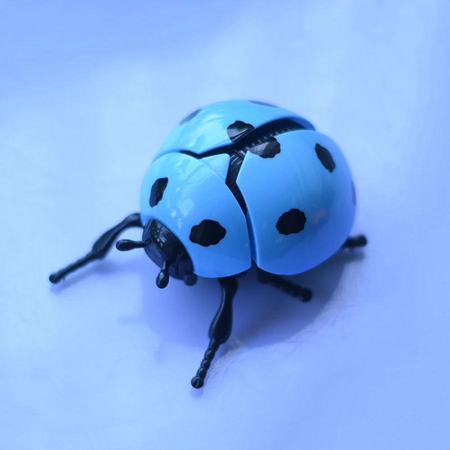 Winding spring seven-spotted ladybug children's toy/Simulated beetle Golden Turtle Swaying Ladybug/Children's cognitive toy