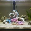 Aquatic Fishbowl Mermaid Decor Realistic Design Resin Mermaid Figurine for Aquatic Habitat Hobbyists, Desktop