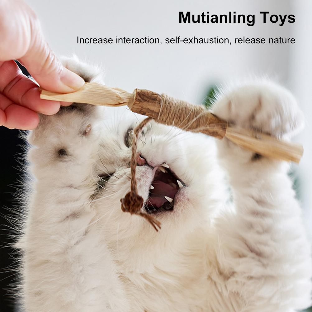 2PCS Cat Toys Kitten Teething Chew Toys Natural Chew Sticks for Pet Teeth Cleaning