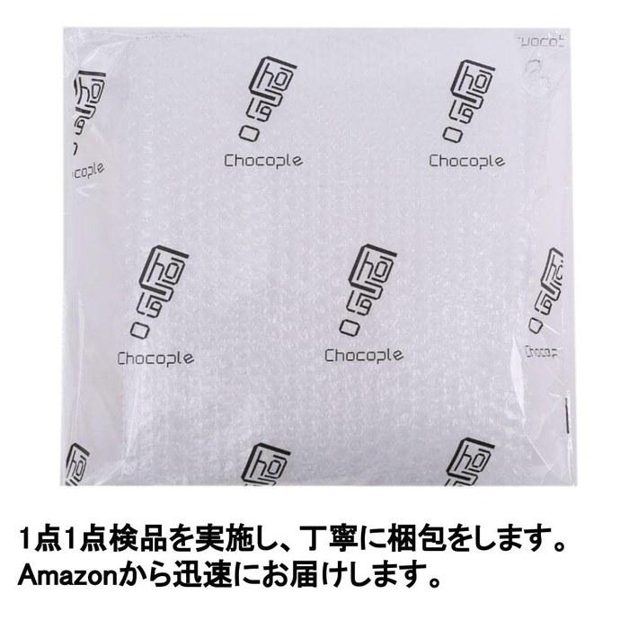 Chocople Quilt Clip Laundry Clips Stainless Steel Extra Large Strong 6-Piece Set