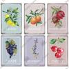 Putuo Decor Fruit Vintage Panneau en Étain Plaque Métallique Décoration Murale Rétro Salon Ferme Jardin Cuisine Peinture sur Fer