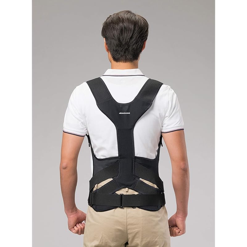 

Daiya Industry Industrial) Lumbar support outer “DARWING” SATT 0000941