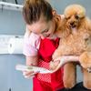 Electric Hair Clipper For Dog Handheld Hair Trimmer Grooming Hair Scissors Pet Grooming Tools Pet Hair Cutter Cordless Quiet