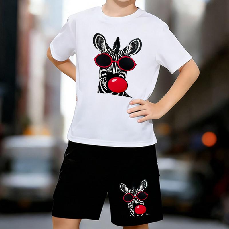 

Boys 2 Piece Zebra printed outfit, Short Sleeve T-Shirt and Shorts Set for Kids Age 5-14,Black,White Sporty Casual Summer Clothes 13-14 Years