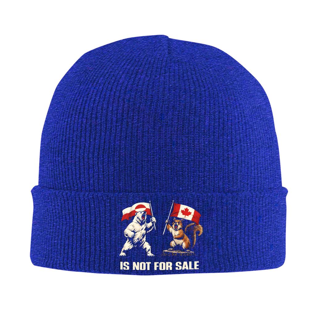 Greenland Is Not For Sale Knitted Hat Street Caps Female Male Kpop Beanie Hats Autumn Graphic Elastic Bonnet Hats