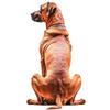 9 Styles Cute Dog Car Sticker Pet Dog Animal Car Sticker Waterproof Styling Automobiles Motorcycle Exterior Accessories Y205