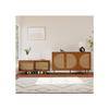 Rattan Low Living Room Furniture - Combination of a Rattan Chest of Drawers and a Shoe Cabinet, Walnut Color