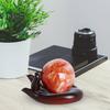Faux Crystal Ball Display Stand Black Cat Animal Hand Holder Resin Statue Sculpture Home Office Bookshelf Desktop Decoration Ornament