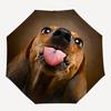 1pc Dachshund Open/Close Folding Umbrella, All- Portable Umbrella for & Men, Stylish Accessory (Holiday Gift) 8-Rib yy251213104