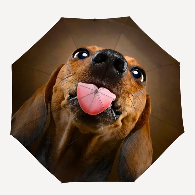 1pc Dachshund Open/Close Folding Umbrella, All- Portable Umbrella for & Men, Stylish Accessory (Holiday Gift) 8-Rib yy251213104
