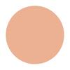 Shiseido Spots Cover Cream Foundation (Base Color) H100 20g