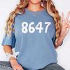 Vintage 8647 Anti Trump Shirt, Subtle Anti MAGA Tee, Funny Liberal Gift, Pro Democrat Graphic T-Shirt, Political Protest Apparel