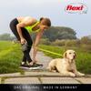 Flexi Giant Tape L 10m Professional Genuine Japanese Product (Under 50kg) [Dog Leash]