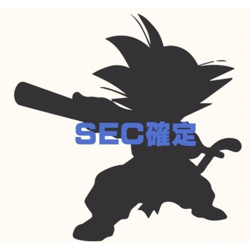 Dragon) SEC Confirmed SDBH Super Dragon 30-Pack Ball Heroes Secret Divers