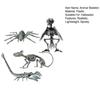 Halloween Animal Skeleton Plastic Bone Model Realistic Skeleton Crow Spider Rat Scorpion Figurine for Haunted Houses Graveyard Scenes Parties Decor