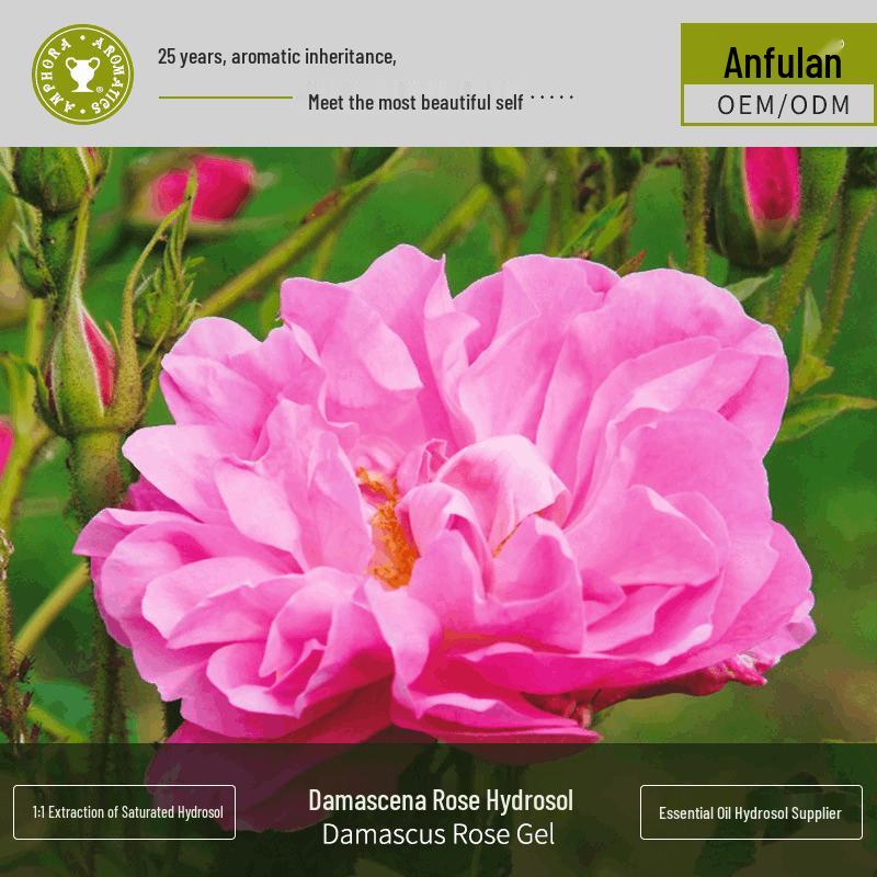 Damask Rose Hydrosol Hydrating and Moisturizing Raw Material, Semi-finished Product Normal Size