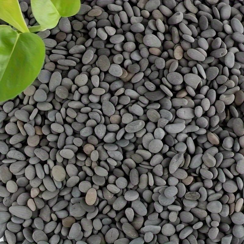 Hand-Painted DIY Flat Pebble Stones - Creative Rock Painting Kit for Artistic Crafts & Home Decor