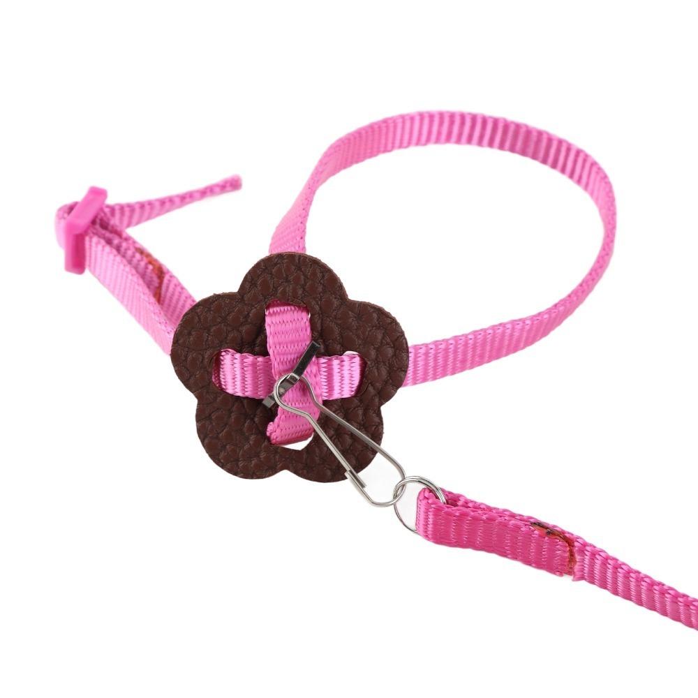 Adjustable Pet Bird Harness Nylon Material Parrot Leash Bird Harness Leash Outdoor Flying