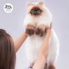 Cute Siamese Cat Plush Backpack for Girls Adorable Doll Bag Warm Winter Surprise Gift for Girlfriend