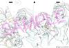 [USED] Not for Sale "Senki Zesshō Symphogear XV Original Art Collection Design Archive Bonus Reproduction Original Art
