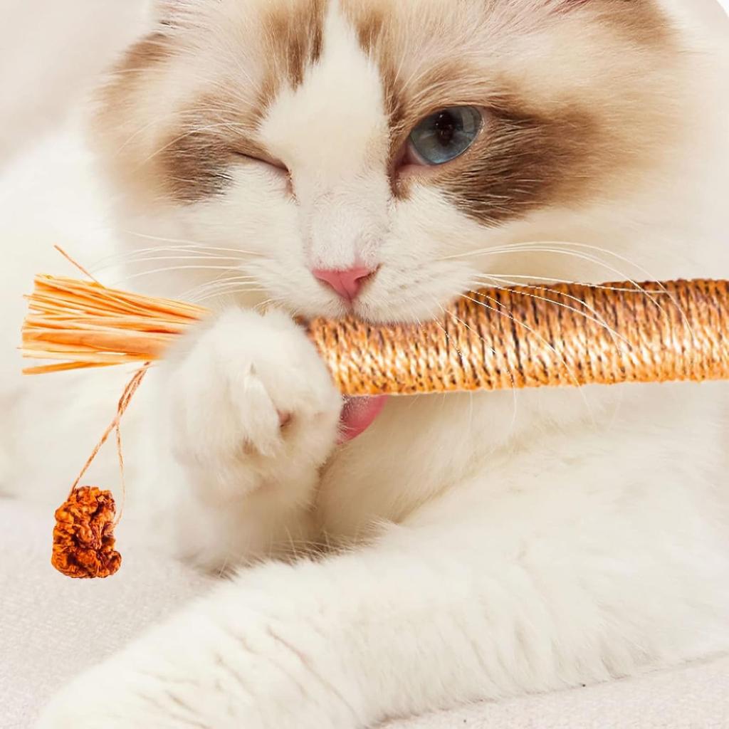 Natural Sisal Catnip Toys for Cats Durable Rope Chew Sticks Interactive Cat Play Toy Set for Indoor Use 4 Pack
