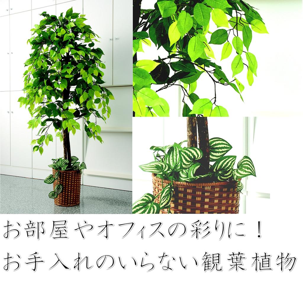 Fíkus Benjamina Umělý v květináči Šířka 70 x Výška Umělý Dodává se s bambusovým košíkem a květináčem, 160 cm, Zelený, Velký,