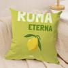 Travel Vacation Series Cushion Cover Silky Short Plush Invisible Zipper Dustproof Sofa Pillow Case For Home Decor
