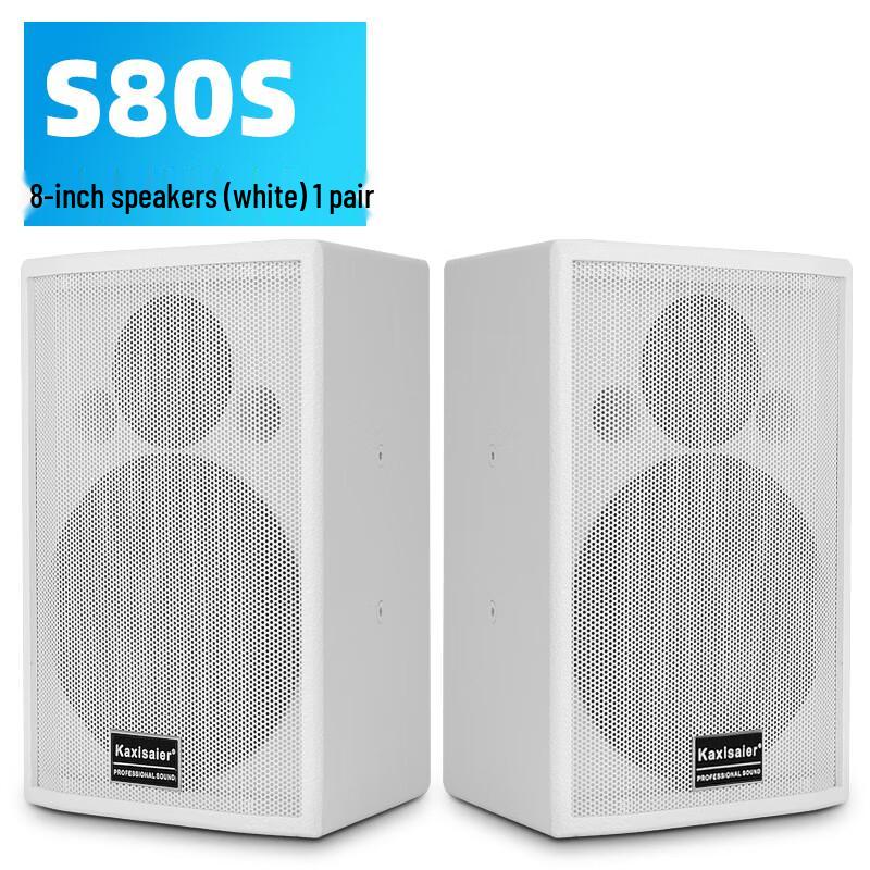 KAXISAIER Professional Passive Conference Speaker