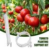 Clips For Climbing Plants Tomato Planting Support Kits Multifunctional Garden Supplies Fastening Clamp For Tomato Vines