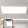 Ultra-Thin Minimalist Ceiling Light with Full Spectrum Eye Protection for Living Room or Bedroom
