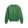 Толстовка Polo Ralph Lauren 211971697502