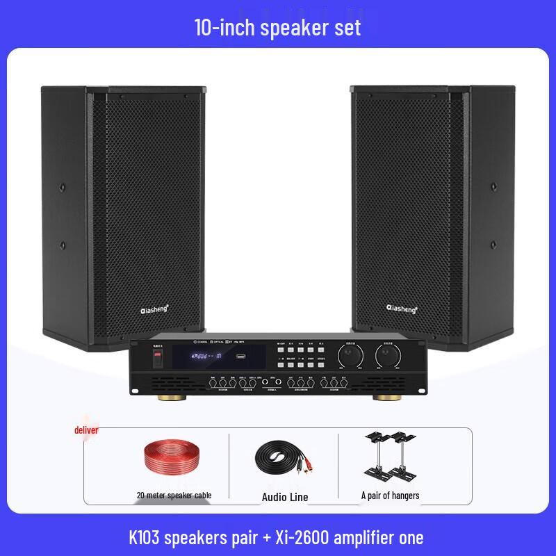 QIASHENG Professional Conference Room & Stage Audio System CN plug (adapter included)