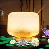 500ml Large Mist Humidifier & Essential Oil Diffuser for Home