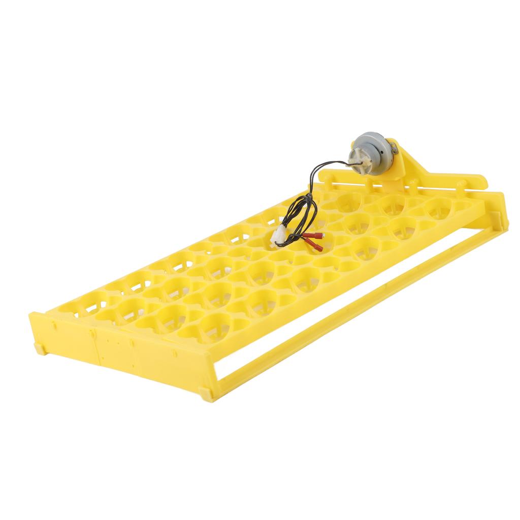 Egg Incubator Egg Tray Small 24 Eggs Four Leaf Flower Automatic Turning Egg Incubator Egg Tray12V