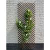 Treillis extensible - NATURE - En osier FSC naturel - 60 x 180 cm
