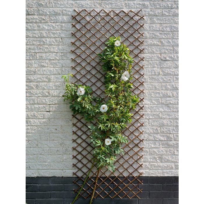 Treillis extensible - NATURE - En osier FSC naturel - 60 x 180 cm