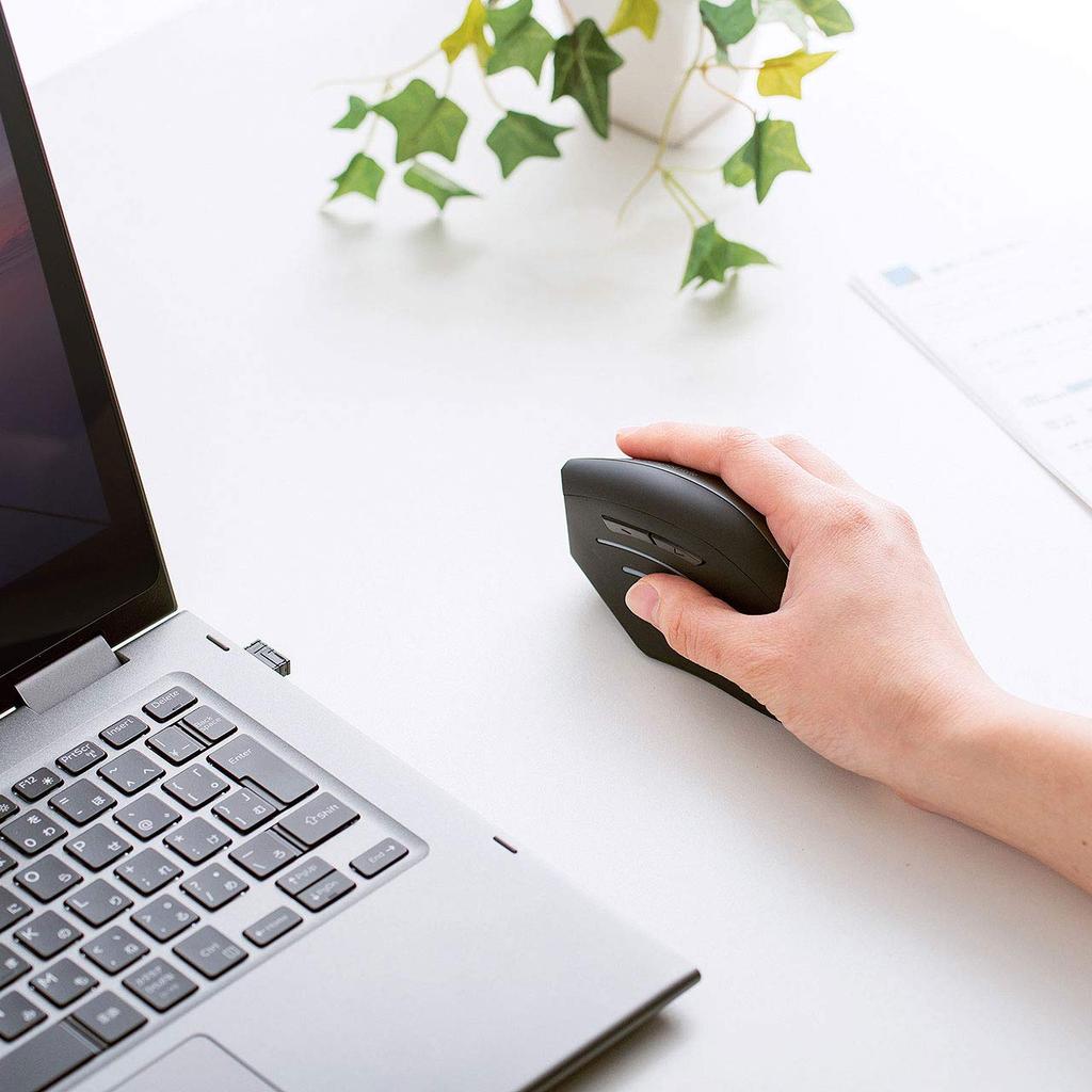 Sanwa Supply Wireless Ergonomic Mouse, Blue LED, 5 Buttons, Large, MA-ERGW8