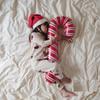 Red Christmas Candy Cane Foil Decor Balloons Xmas Santa Canes Stick Candy Balloon For New Year Festival Holiday Party Decor