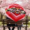 1PC Warner Powerpuff Girls Automatic Open/Close Umbrella with Windproof, 73-Rib Sturdy Canopy, Durable Ribs1290A