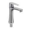TLXT Single Cold Basin Faucet