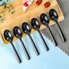 Fangcaodi Disposable Spoons, 80 Pieces, Long-Handled Small Soup Spoons for Fast Food, Desserts And Coffee, Black Color, Individually Wrapped