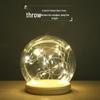 Transparent Dustproof Luminous Glass Cover for Preserved Flower Home Decoration Ornament