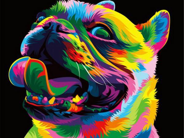 Full Square Diamond Embroidery Cat Dog Animal Wolf Diamond Mosaic Lion Needlework Painting Kits DIY Handmade Hobby