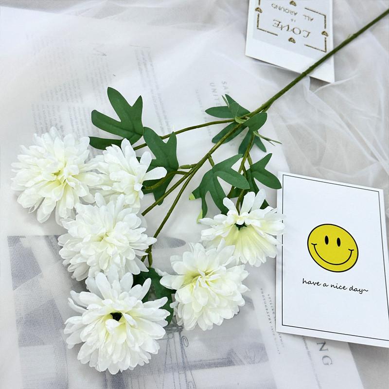 Realistic Fake Epaltes Australis Arrangement For Diy Home Decoration And Photography Props